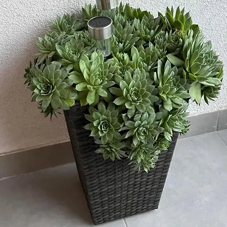 Apartmán Luxury Concept Mostar